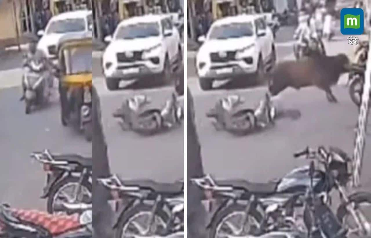 Terrifying Video: Rampaging Bull Tramples Scooter Rider on Busy Road