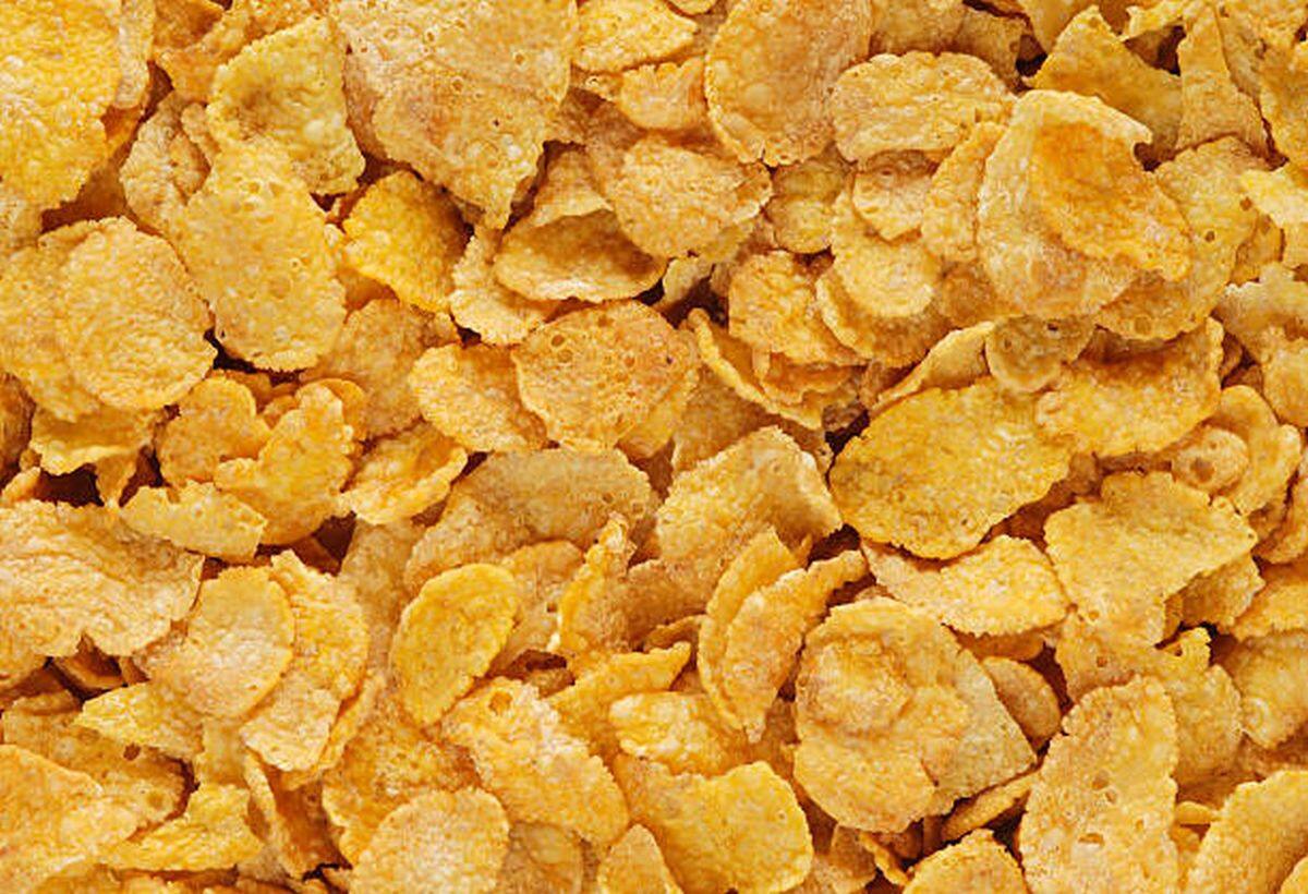 Start Your Corn Flakes Business Today: Instant Earnings Await!