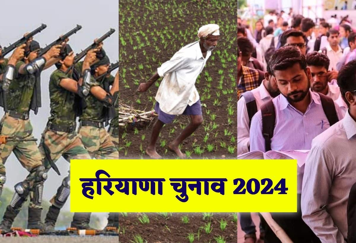 Haryana Elections 2024: Key Voter Issues - Unemployment, MSP & Agniveer Scheme