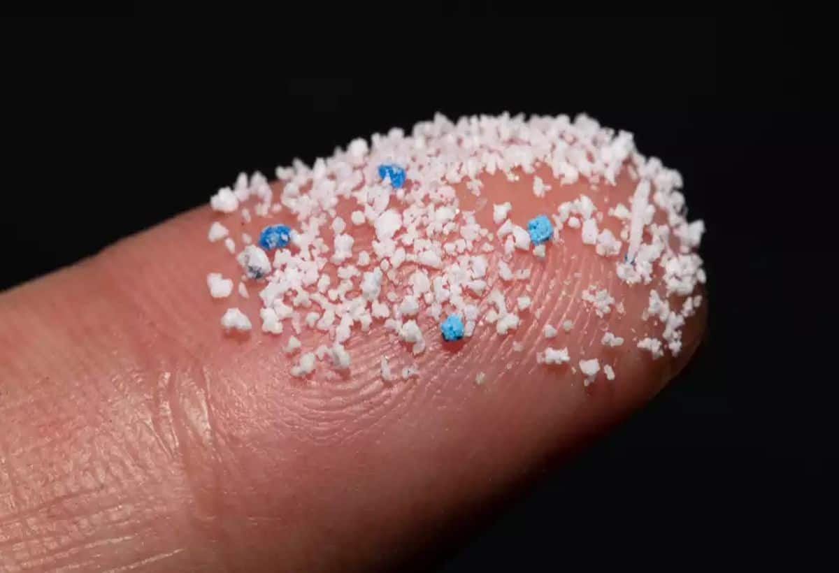 Microplastics: New Research Reveals How They Enter Our Bodies