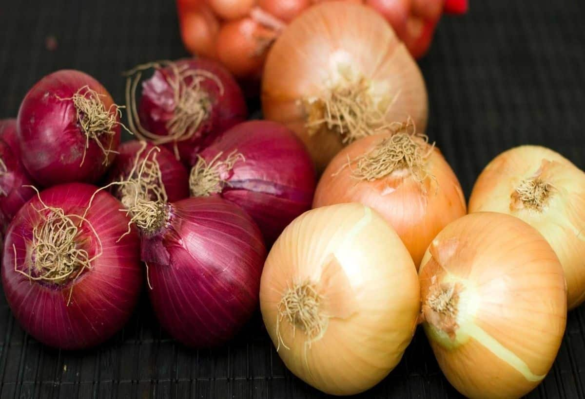 Boost Diabetes Control with Onions: Glowing Skin & Blood Sugar Benefits