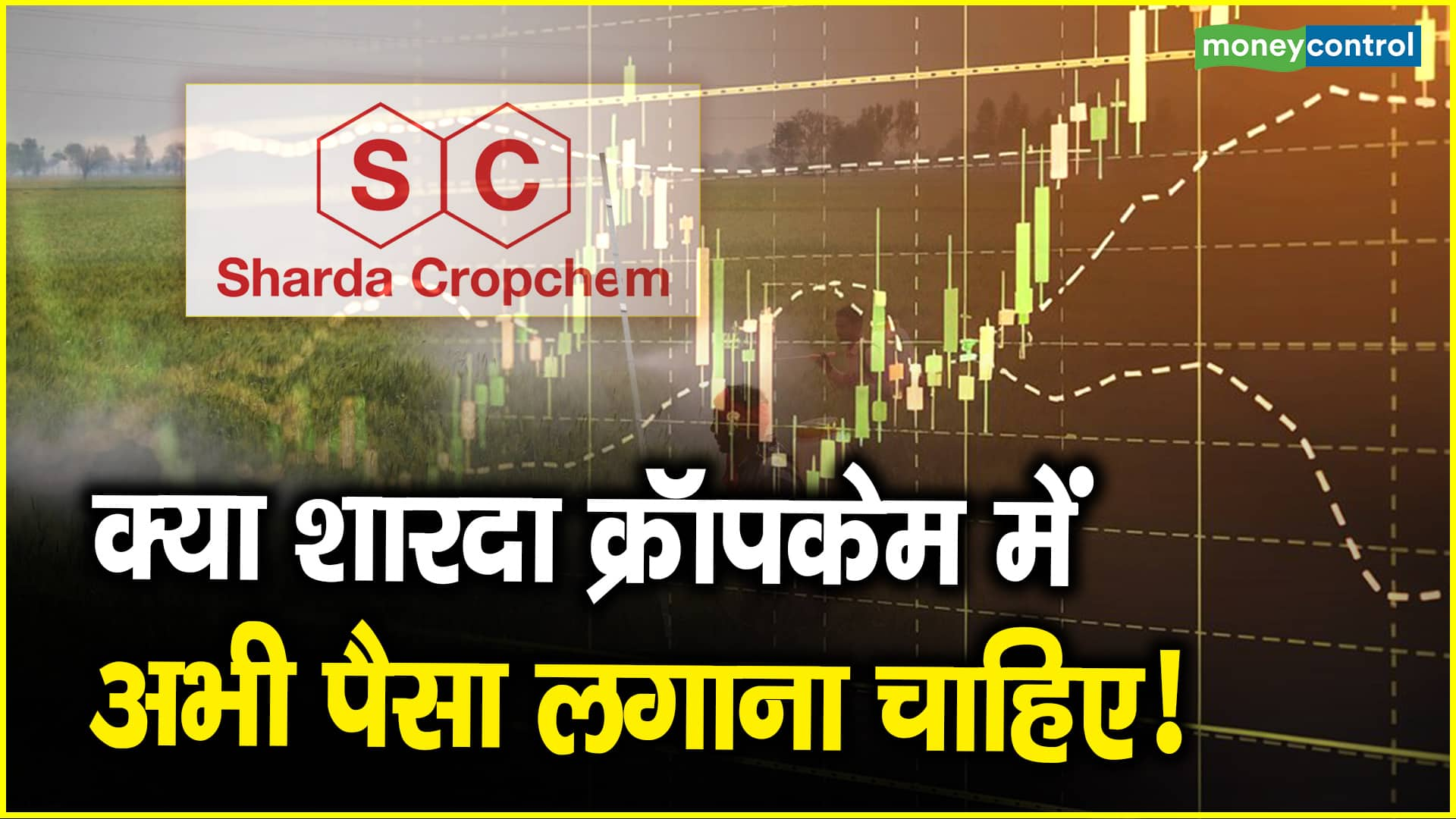 Is Now the Right Time to Invest in Sharda Cropchem Stocks?