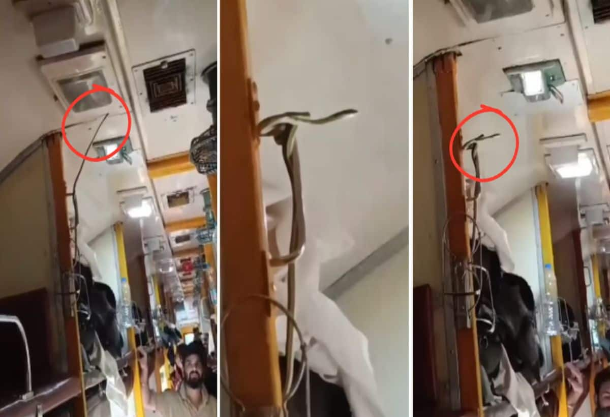 Watch: Snake Panic in Garib Rath Express AC Coach Causes Passenger Stampede!