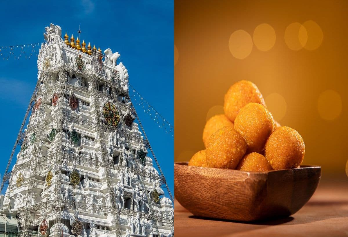 Is Tirupati Laddu Made with Animal Fat? Ghee Supplier Clarifies!