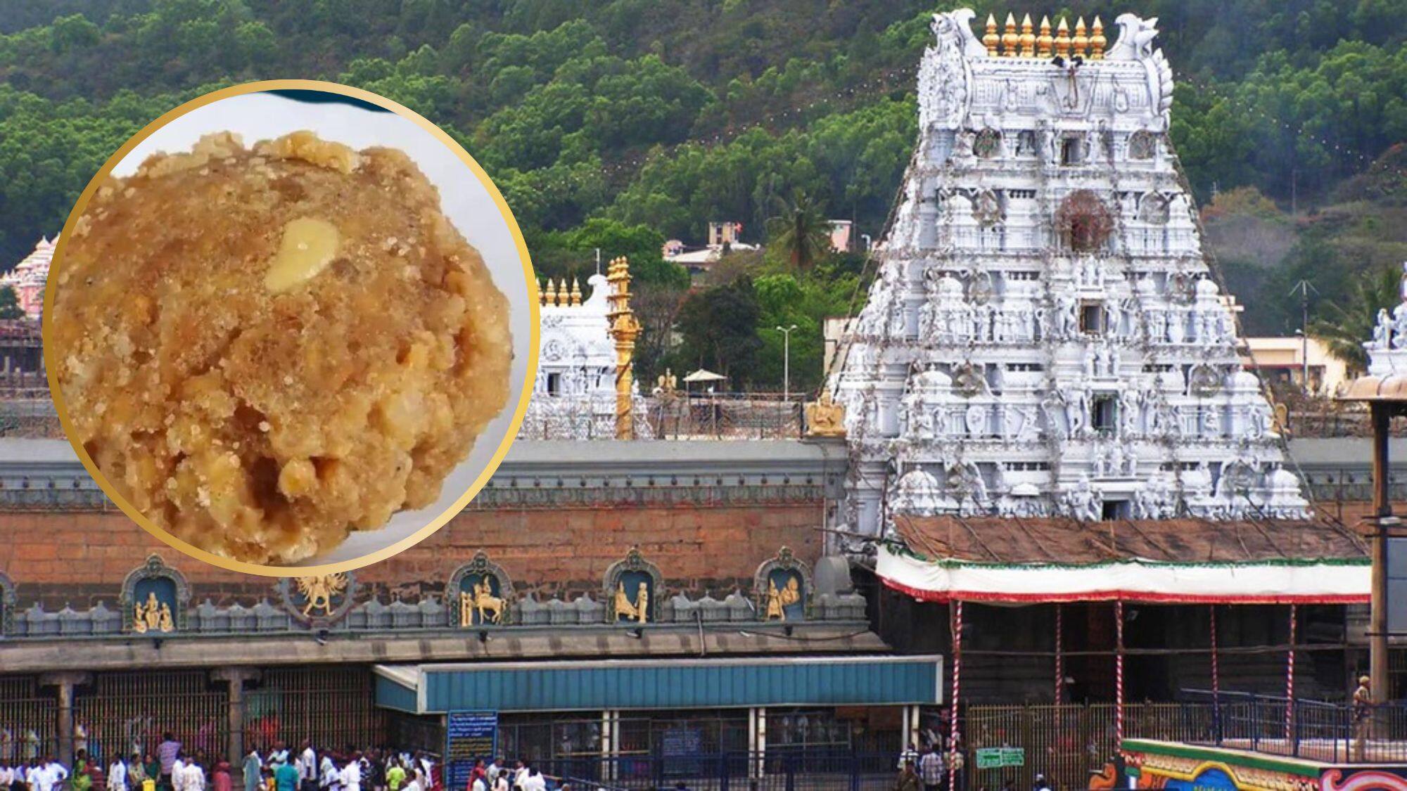 Unveiling Tirupati Temple's Laddu: Beef Fat and Fish Oil Discovered in Lab Report!