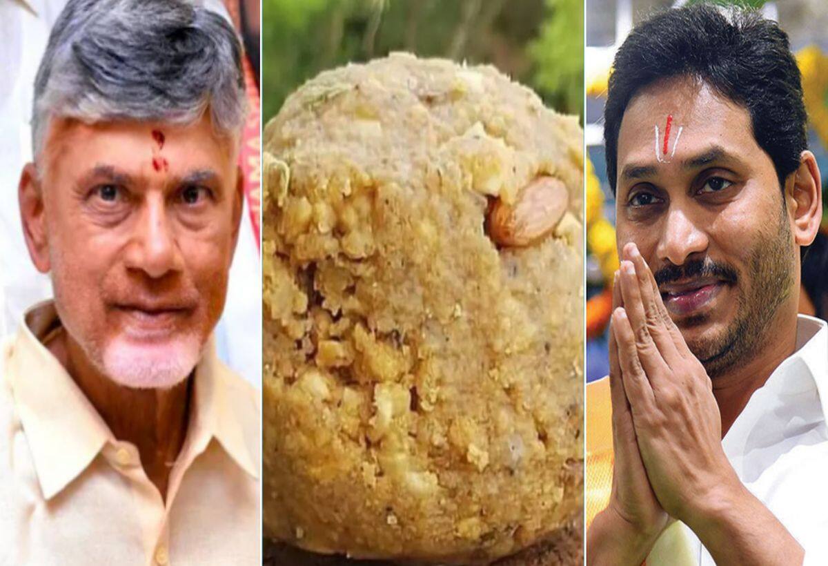 Jagan Reddy Blasts Chandrababu Naidu Over Tirupati Laddu Controversy, Urges PM Modi to Take Action