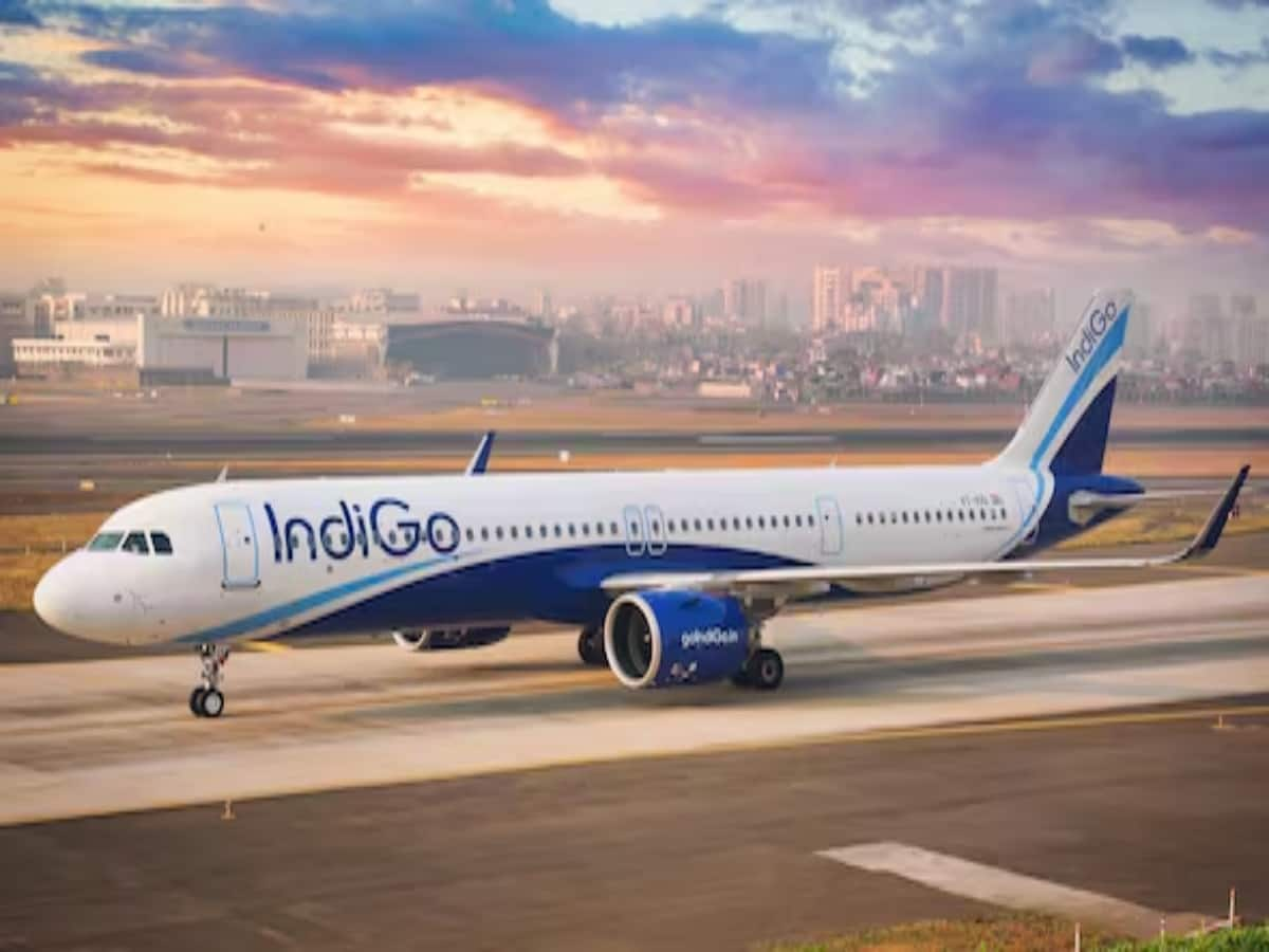 IndiGo CEO: Aiming for Global Airline Status by 2030