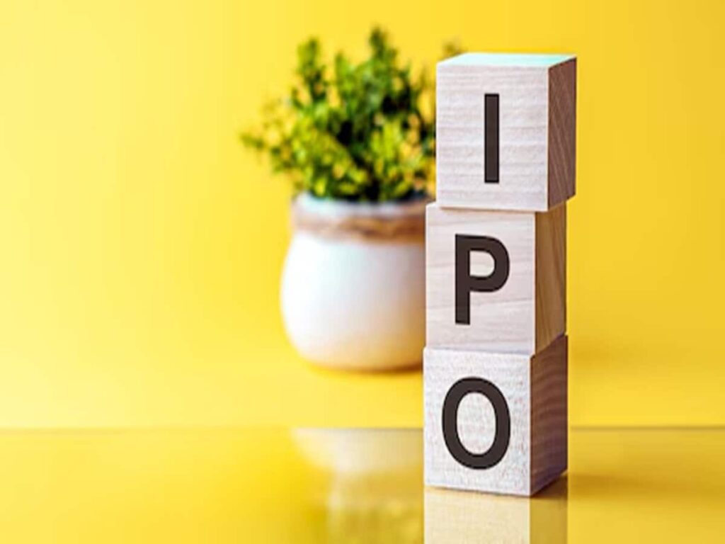 RBI Predicts September IPO Surge: 14-Year Record on the Line!