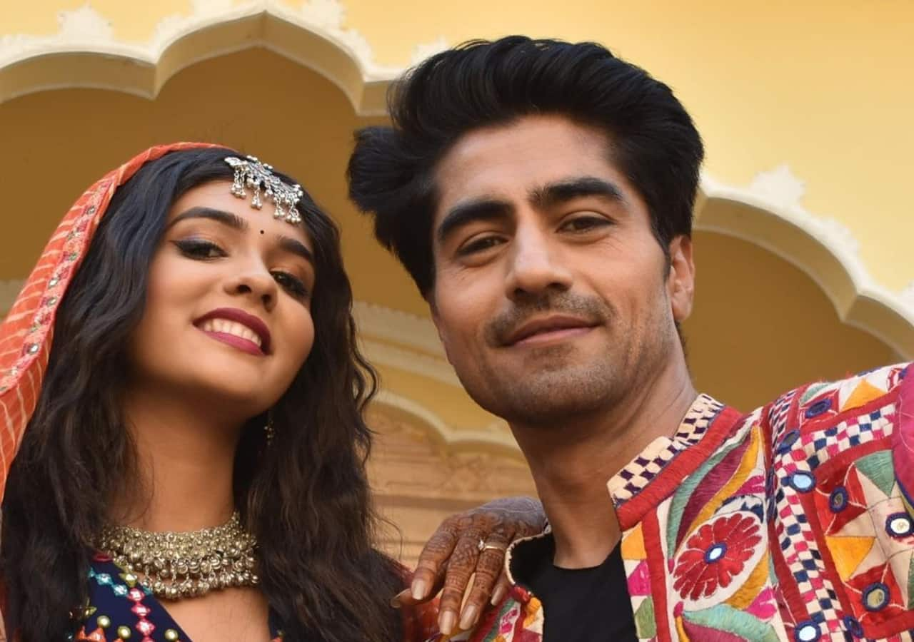 Pranali Rathore & Harshad Chopra's Secret Wedding? Actress Spills the Beans!