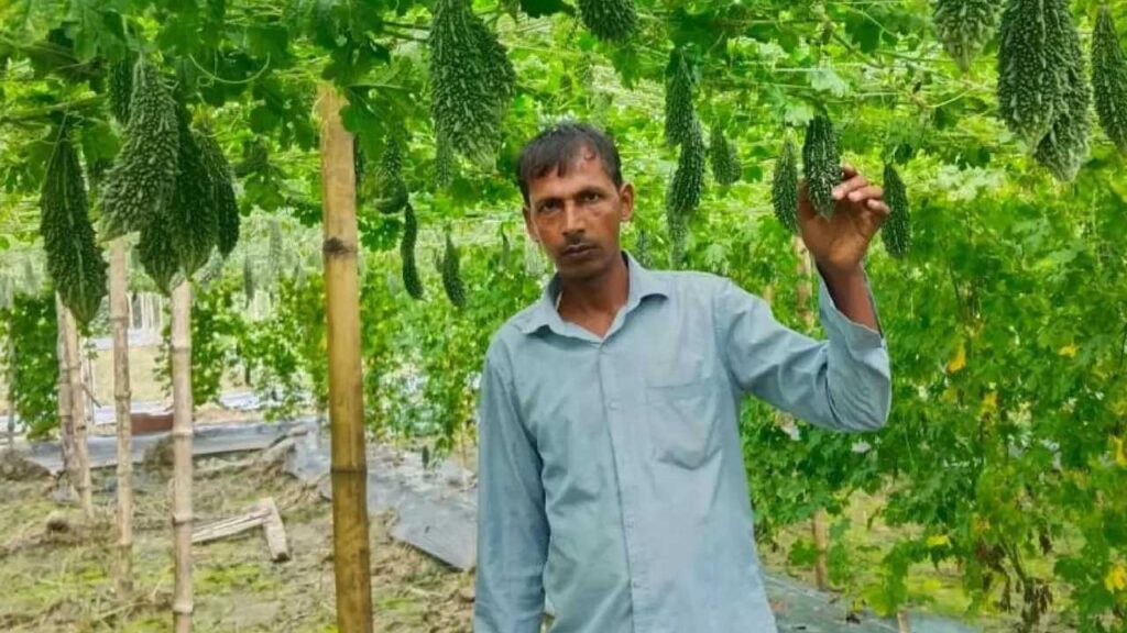 মাঠে ফলছে সোনার ফসল, মাস গেলেই পকেটে ঢুকছে ২.৫ লাখ টাকা! চাষ করেই রাজা অরুণ