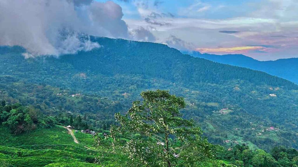 ১০০০ টাকায় চার বেলা থাকা, খাওয়া! পুজোর ছুটিতে ঘুরে আসুন অচেনা উত্তরবঙ্গ, হবেন মুগ্ধ