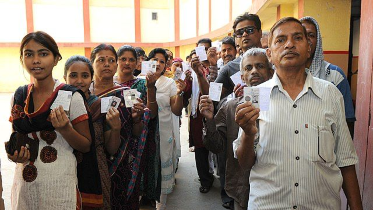 haryana election