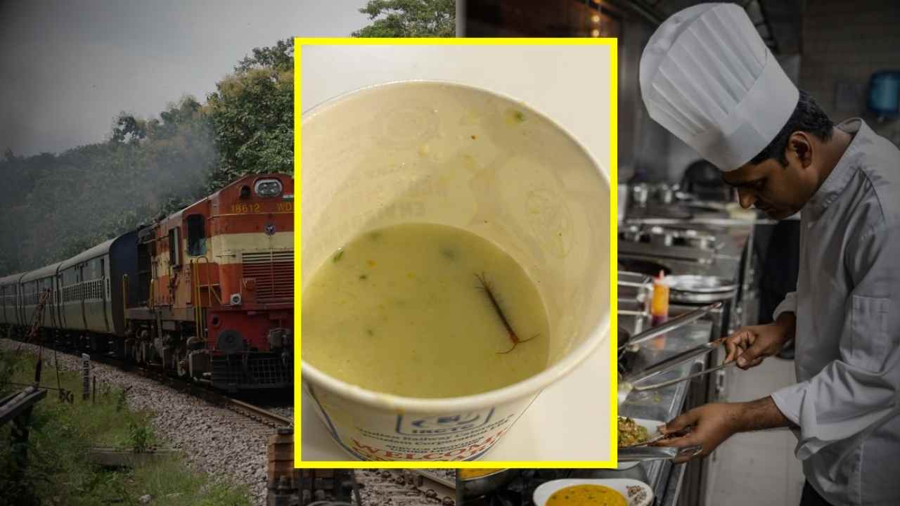 Live centipede found in IRCTC meal