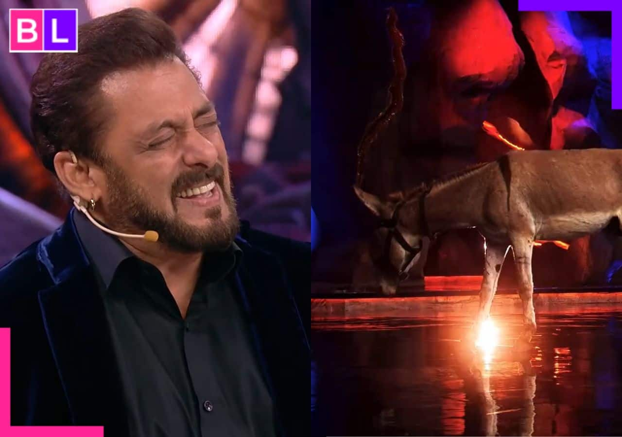 Bigg Boss 18 Contestant from Dacoit Family Shocks with 'Donkey' Entrance!