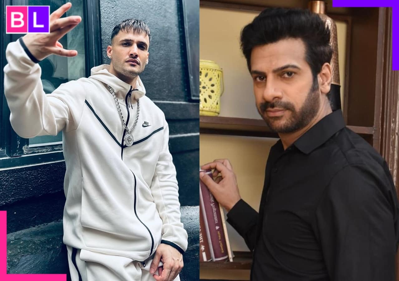 Asim Riaz's Shocking Accusation Against Karan Veer Mehra Sparks Social Media Frenzy