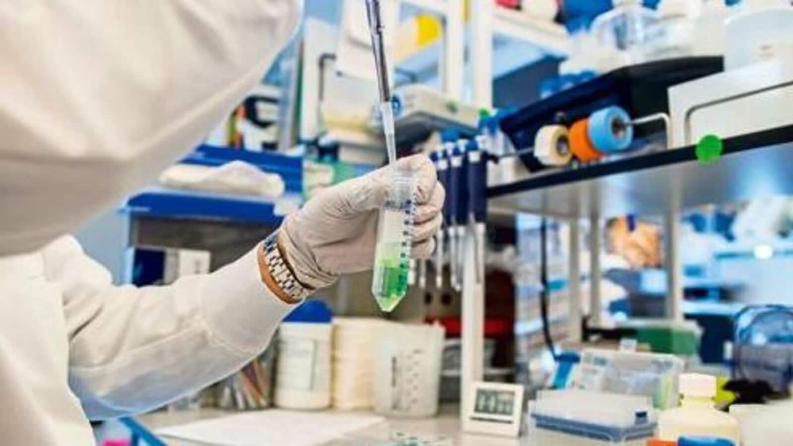 Sudarshan Chemical Soars 20% to 52-Week High After ₹1,180 Crore Acquisition