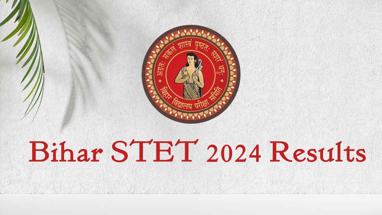 bihar stet 2024 results