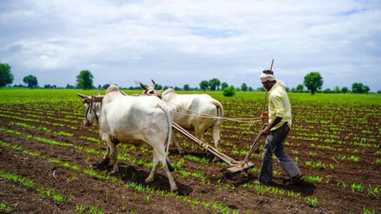 national farmers' day