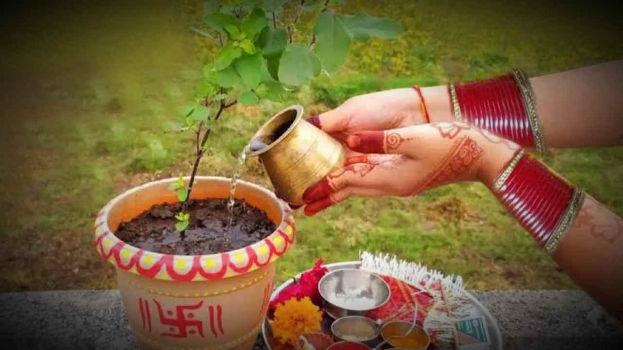 tulsi pujan diwas 25th december timings and rituals