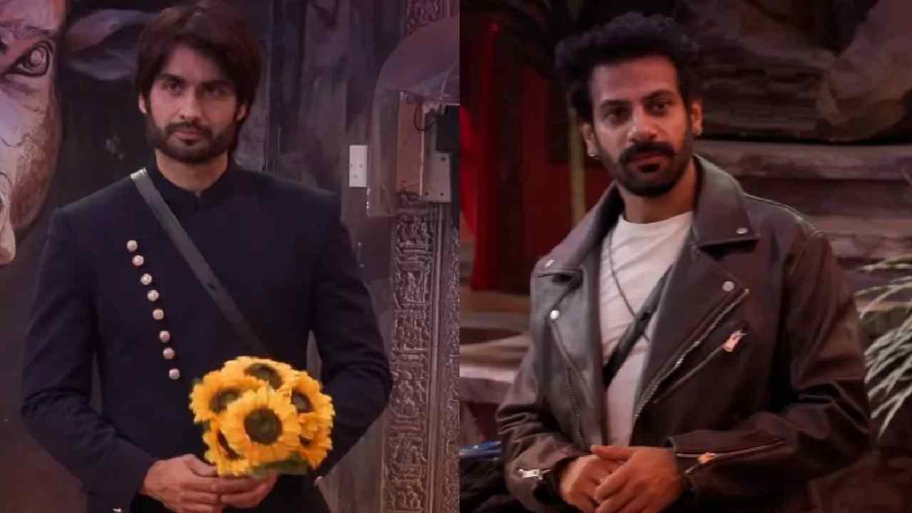 vivian dsena and karan veer mehra fight bigg boss 18