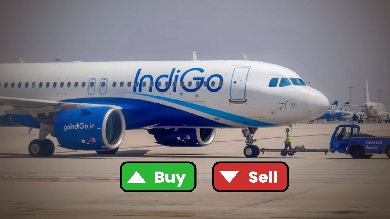 indigo share price (1)