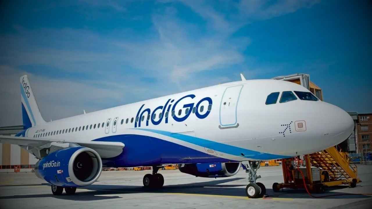 indigo share price